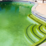 gulf breeze pool cleaners