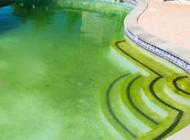 gulf breeze pool cleaners