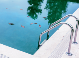 pensacola pool cleaners